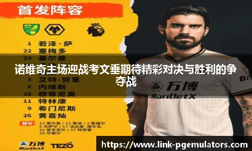 PG电子模拟器