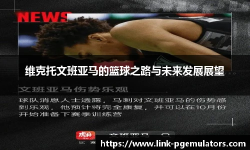 PG模拟器